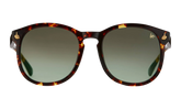 Revolution Acetate "Brown Tortoise / Gray Gradient" MPRE2 0007 40T5