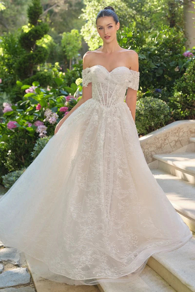 WL090 - Audrey Lace Ball Gown - Andrea & Leo