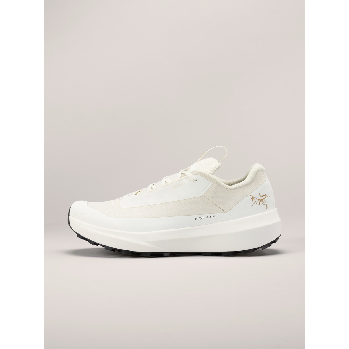 Women's Norvan LD 4 GTX
